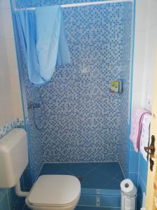 a bathroom with a blue tiled shower with a toilet at Two Angels in Bled