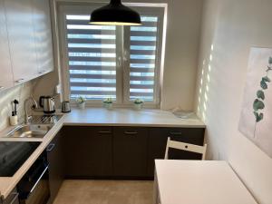 Dapur atau dapur kecil di Apartament Łagiewniki