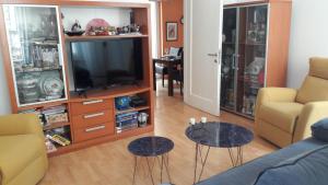TV a/nebo společenská místnost v ubytování Diadora