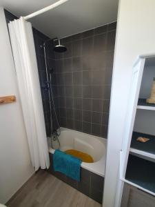 een badkamer met een bad en een douche bij Le petit provencal in Espeluche