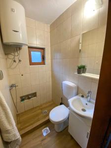 een kleine badkamer met een toilet en een wastafel bij Apartman Popović in Virpazar