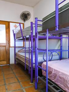 Postel nebo postele na pokoji v ubytování Chanclas Hostel Vallarta + 30 fotografií