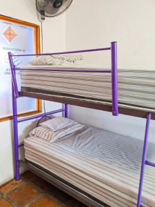 Divstāvu gulta vai divstāvu gultas numurā naktsmītnē Chanclas Hostel Vallarta