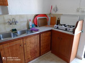 a kitchen with a sink and a stove at IASONAS APARTMENTS in Mastihari +31 photos