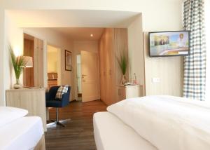 TV a/nebo společenská místnost v ubytování Hotel Rössle