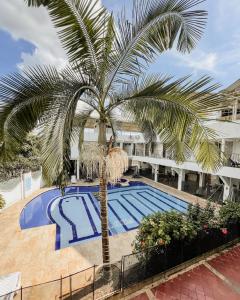 a palm tree in front of a swimming pool at Hotel Cacique Guaicani in Melgar