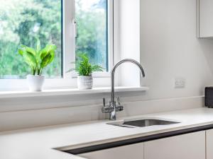 Η κουζίνα ή μικρή κουζίνα στο Chi Gwynn +42 φωτογραφίες