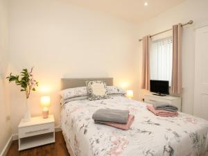 1 dormitorio con 1 cama grande y TV en Bwthyn Tyn y Coed en Bryngwran