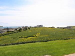 a large field of green grass with yellow flowers at Ocean View Apartment in Thurlestone