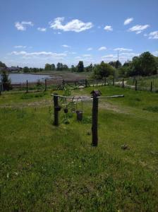un baño de aves en un campo junto a un lago en Mazurskie Wytchnienie, en Giżycko
