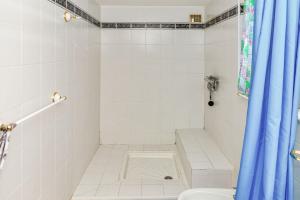 a bathroom with a toilet and a blue shower curtain at Maison d'une chambre avec jardin clos et wifi a Arles sur Tech in Arles-sur-Tech