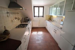 Kuchyň nebo kuchyňský kout v ubytování Luxury Apartment in Sumava Mountains