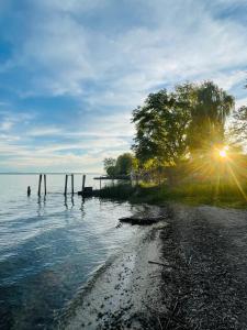 a beach with a tree and the sun in the water at " Sunshine am See " in Friedrichshafen