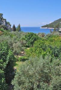 a hill with trees and the ocean in the background at Limnonari Beach Rooms in Skopelos Town