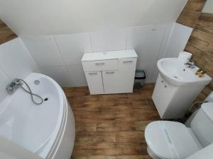 biała łazienka z toaletą i umywalką w obiekcie Willa Kościelisko w mieście Kościelisko
