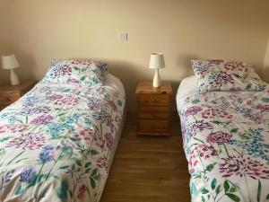 sypialnia z dwoma łóżkami obok siebie w obiekcie Eagles Lodge w Killarney