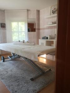 Köök või kööginurk majutusasutuses Guesthouse Jelenov greben