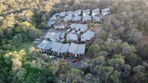 邓斯伯勒Cape Villas 23的树林中一排房屋的空中景观