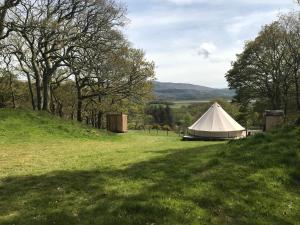 une grande tente blanche dans un champ arboré dans l'établissement Cefn Crib Glamping, à Machynlleth