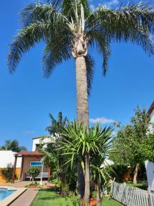 uma palmeira em frente a uma casa em Chalet la Huerta con piscina y Wifi em Conil de la Frontera