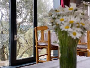 Fotografie z fotogalerie ubytování Lamin House v destinaci Sirince