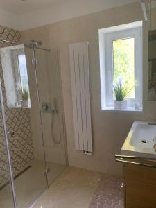 un bagno con doccia e lavandino di Dom na wzgórzu a Polanica-Zdrój