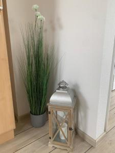 une petite table avec une plante à côté d'un mur dans l'établissement Ferienwohnung Maximilian, à Grömitz