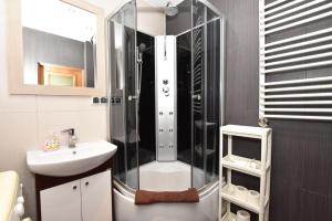 a bathroom with a shower and a sink at City Central Apartments Wrocław in Wrocław