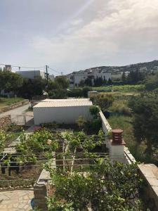 Fotografie z fotogalerie ubytování Villa Koula v destinaci Batsi