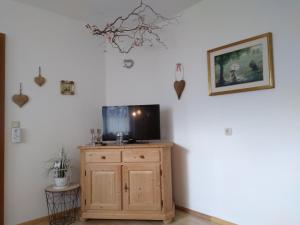 TV a/nebo společenská místnost v ubytování Landhaus Kirchmair