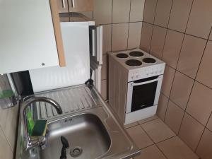 a small kitchen with a stove and a sink at Careva voda 1 in Dobroselica