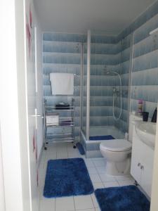 y baño azul con aseo y ducha. en B&B Andrey en Marly-le-Grand
