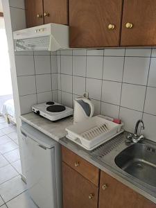 a kitchen counter with a sink and a toaster at Paradisos Kastellorizou in Meyisti