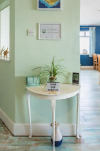 uma mesa com uma planta numa sala em The Royson Guest House em Shanklin