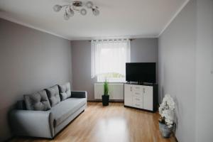 Fotografia z galérie ubytovania Apartamenty Magnolia v destinácii Stronie Śląskie