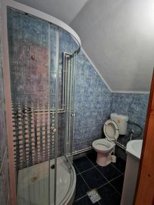 a bathroom with a shower and a toilet in it at Jugul Țăranului Agropensiune Polovragi, Gorj in Polovragi +36 photos