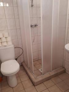 a bathroom with a shower with a toilet and a sink at Ubytovanie u Marty in Veľký Meder +50 photos