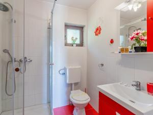 a bathroom with a shower and a toilet and a sink at Casuta cu Trandafiri in Slănic +50 photos