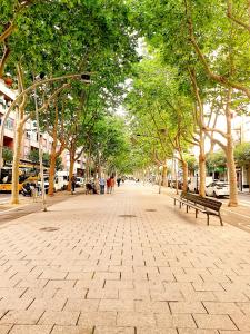 a tree lined street with a bench and trees at Tarragonaapartments Prim Reus in Reus