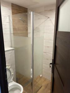 a bathroom with a toilet and a glass shower stall at Hostel4u in Gdańsk