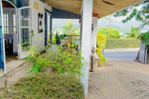 Gallery image of Palm garden Resort in Gisenyi