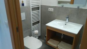 un bagno con lavandino e WC di Haus Möltner - Apartment 1927 a Caldaro