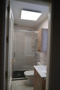 a bathroom with a shower with a toilet and a sink at Balcón Giralda Center & Sweet in Seville +28 photos