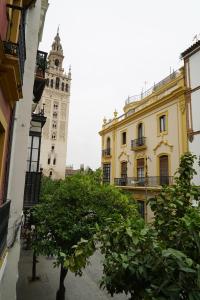 un edificio con una torre de reloj y un árbol en Balcón Giralda Center & Sweet en Sevilla