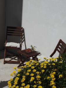 Zahrada ubytování Apartment Salvia
