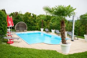 a palm tree sitting next to a swimming pool at Haus Aussicht - Ferienwohnungen Velden in Velden am Wörthersee