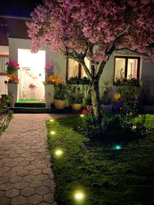un jardin avec un arbre et des lumières sur l'herbe dans l'établissement Haus Belli, à Bad Aussee