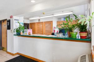 a kitchen with a counter with plants on it at OYO Hotel Portage I-94 in Portage