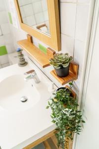un lavandino in bagno con specchio e una pianta in vaso di Roofless Surf Lodge a Soorts-Hossegor
