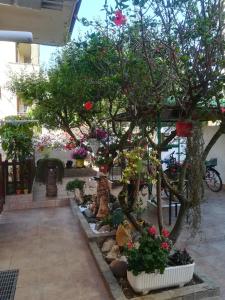 Giardino di B&B Lety